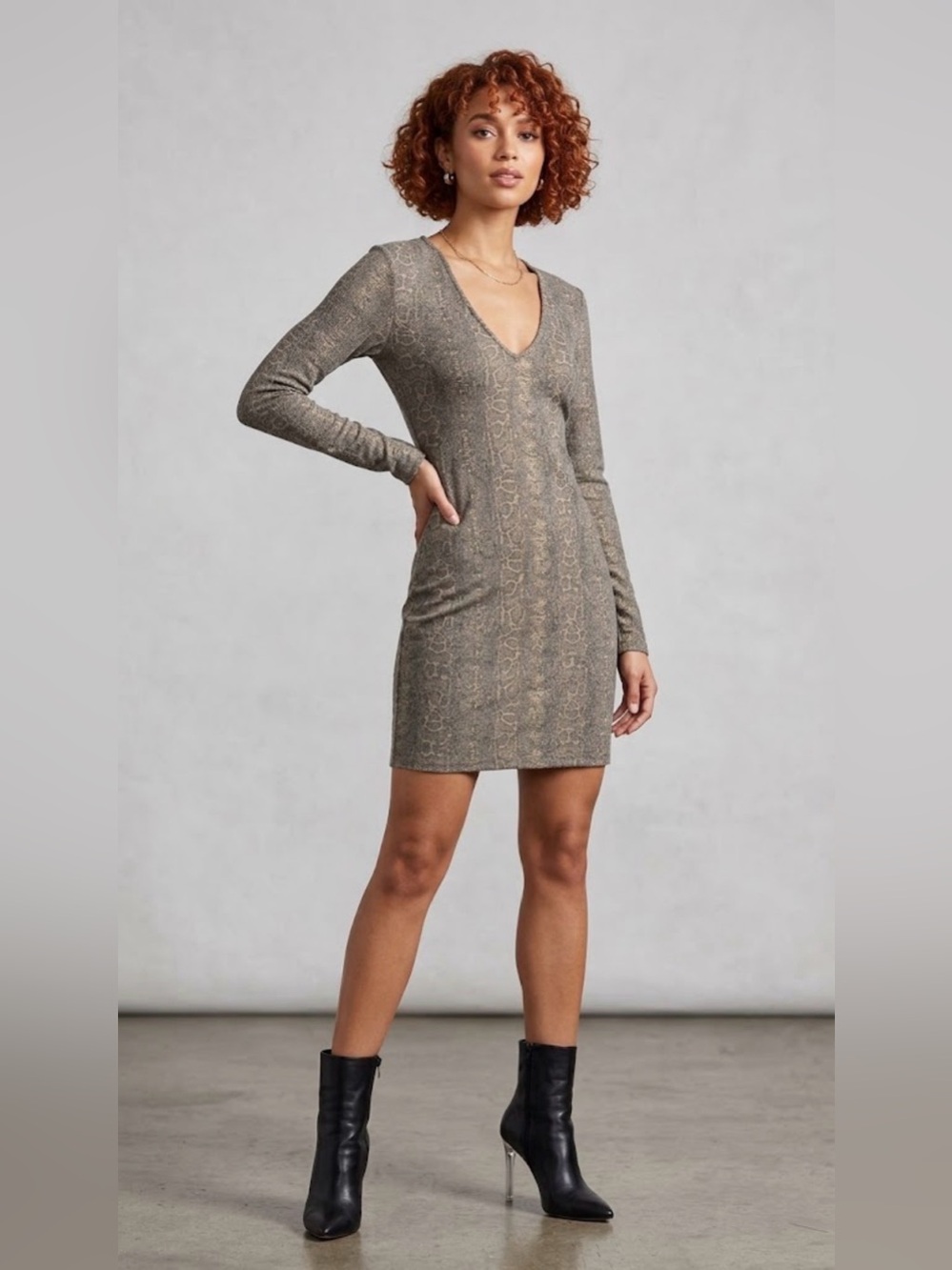 Zara Animal Print Long Sleeve Mini Dress in Brown